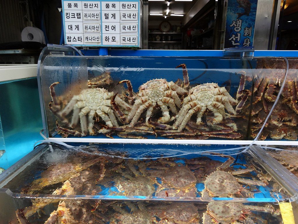 韓國釜山在地飲食