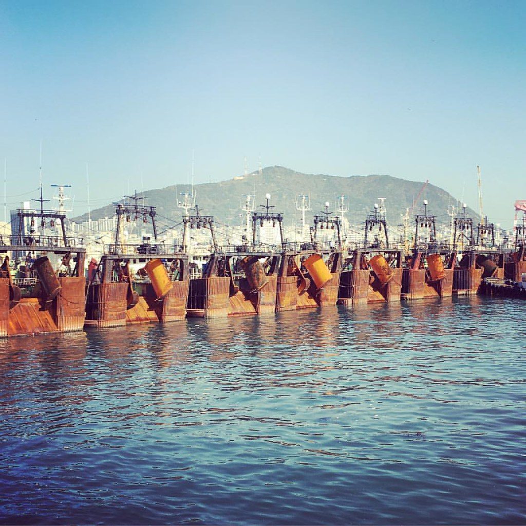韓國釜山海岸風景