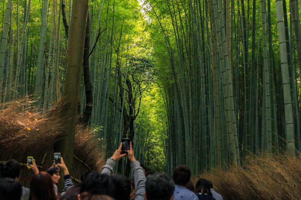 京都自然風景