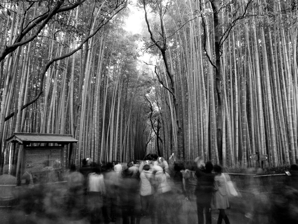 京都自由行攻略｜五大分區拆解、三條一日路線與交通票券挑選－示意圖 3