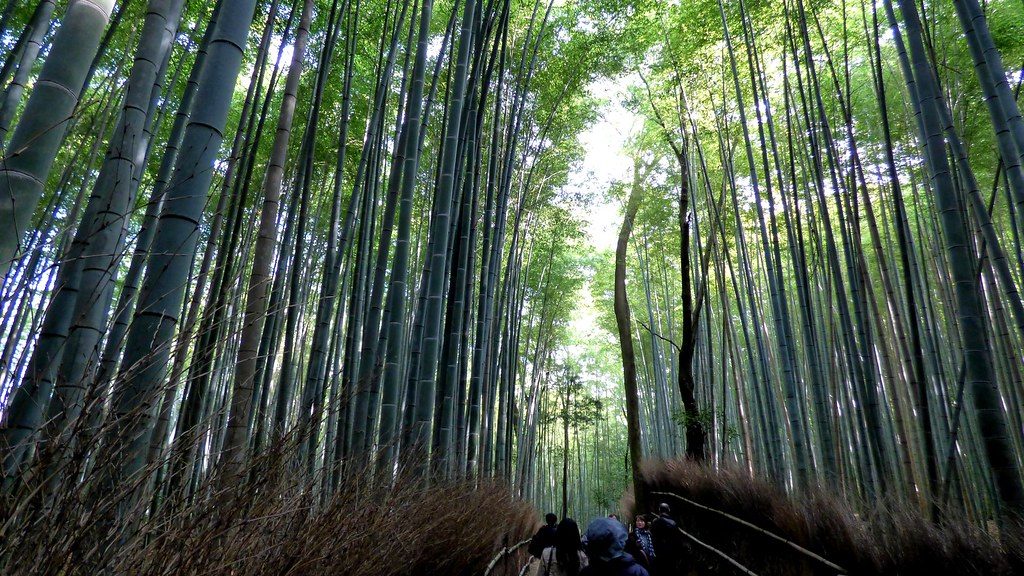 京都街道一景