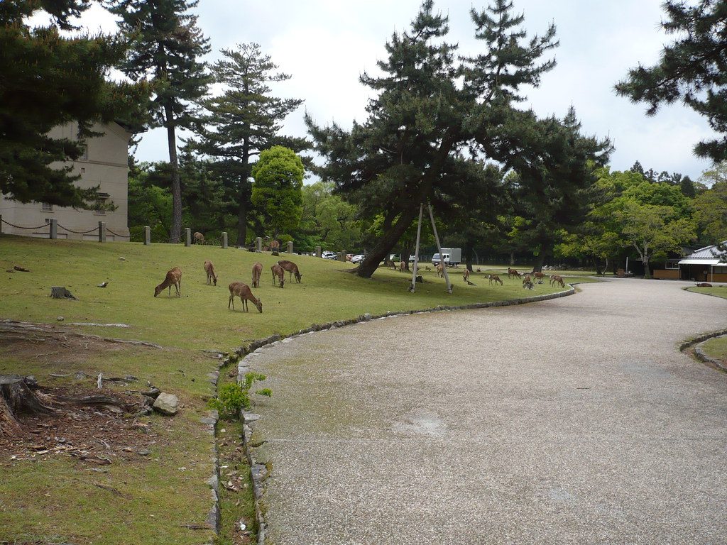奈良自然風景